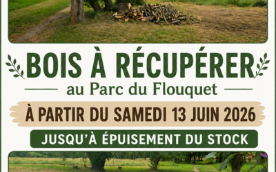 Bois à récupérer – Parc le Flouquet