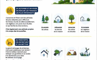 Quand débroussailler votre terrain?